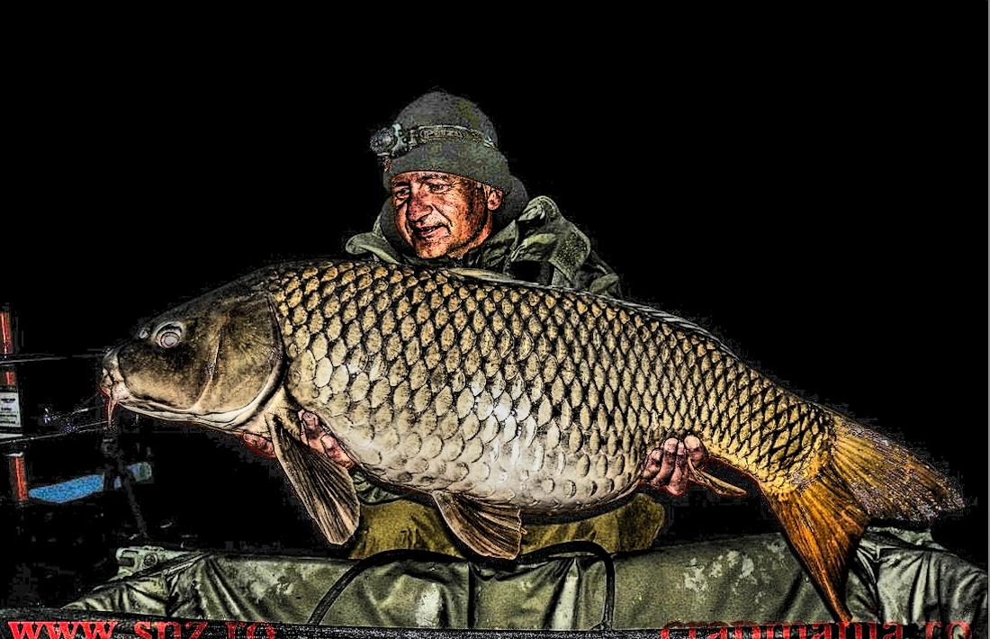 Boiliesmania 2013 - 1031345hdrmode2-2.jpg